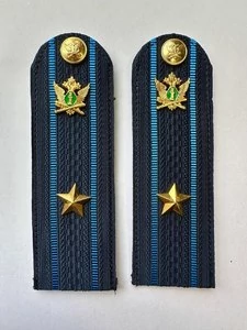 Погоны ФССП с фурнитурой звание Майор картон 13см цвет темно-синий