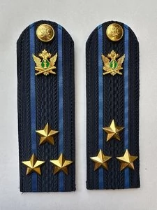 Погоны ФССП с фурнитурой звание Полковник картон 13см цвет темно-синий