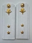 Погоны ВДВ с фурнитурой белые Прапорщик ПЛАСТИК
