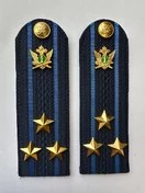 Погоны ФССП с фурнитурой звание Полковник картон 12см цвет темно-синий