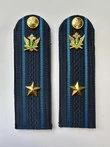 Погоны ФССП с фурнитурой звание Майор картон 12см цвет темно-синий