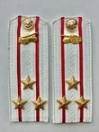 Погоны МО Танковые войска белые звание Полковник ПЛАСТИК