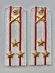 Погоны МО РВиА белые звание Полковник ПЛАСТИК