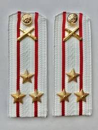 Погоны МО РВиА белые звание Полковник ПЛАСТИК