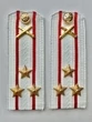 Погоны МО РВиА белые звание Полковник ПЛАСТИК