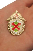 Знак «Лучший специалист» ФПС РФ № 231