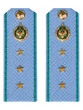 Погоны ПС ФСБ голубые ПЛАСТИК звание Старший Прапорщик 13,5см