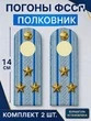 Погоны ФССП с фурнитурой звание Полковник картон 14см цвет голубой