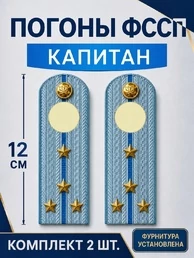 Погоны ФССП с фурнитурой звание Капитан картон 12см цвет голубой