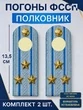 Погоны ФССП с фурнитурой звание Полковник ПЛАСТИК 13,5см цвет голубой