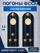 Погоны ФССП с фурнитурой звание Полковник картон 13см цвет темно-синий