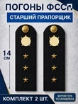 Погоны ФССП с фурнитурой звание Старший Прапорщик картон 14см цвет темно-синий