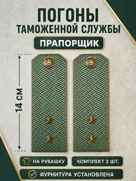 Погоны Таможенной службы на рубашку картон звание Прапорщик цвет олива