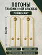 Погоны Таможенной службы белые картон звание Лейтенант