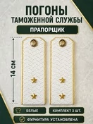 Погоны Таможенной службы белые картон звание Прапорщик