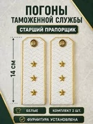 Погоны Таможенной службы белые картон звание Старший Прапорщик