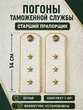 Погоны Таможенной службы белые картон звание Старший Прапорщик