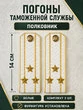 Погоны Таможенной службы белые картон звание Полковник