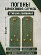 Погоны Таможенной службы на рубашку картон звание Старший Лейтенант цвет олива