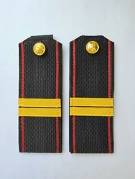 Погоны Морской пехоты Младший сержант ПЛАСТИК галунные