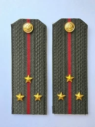 Погоны МО общевойсковые на китель звание Старший лейтенант ПЛАСТИК