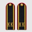 Погоны Полиции КК кадетский корпус 14х5см КАРТОН в сборе с фурнитурой