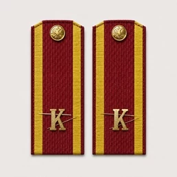 Погоны курсантские красные К 13 см картон металлические буквы К в комплекте