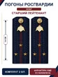 Погоны Росгвардии ФСВНГ на куртку 14см Картон звание Старший Лейтенант цвет темно-синий