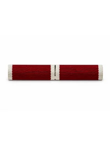 Орденская планка к ордену Мужества двойная на булавке