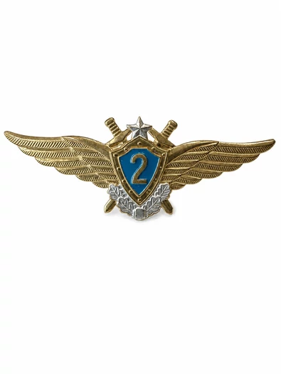 Нагрудный знак Классность ВВС, ВКС 2 класс
