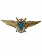 Нагрудный знак Классность ВВС, ВКС 2 класс