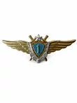 Нагрудный знак Классность ВВС, ВКС 1 класс