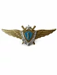 Нагрудный знак Классность ВВС, ВКС 1 класс
