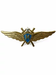 Нагрудный знак Классность ВВС, ВКС Мастер