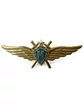 Нагрудный знак Классность ВВС, ВКС Мастер