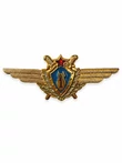 Нагрудный знак Классность Военный штурман СССР легкий 1 класс с хранения