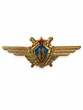 Нагрудный знак Классность Военный штурман СССР легкий 1 класс с хранения