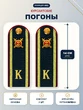 Погоны Полиции курсантские 14х5см картон в сборе с фурнитурой