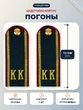 Погоны Полиции МВД кадетские КК 13см картон в сборе с фурнитурой