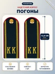 Погоны Полиции МВД кадетские КК 13,5 см ПЛАСТИК в сборе с фурнитурой