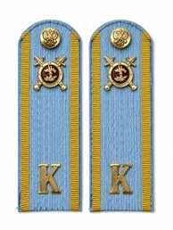 Погоны Курсант Полиции 14см КАРТОН в сборе с фурнитурой