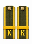 Погоны МО курсантские К галун 13,5х5см пластик цвет зеленый звание Ефрейтор укомплектованы пуговицей