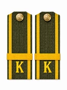 Погоны МО курсантские К галун 13,5х5см пластик цвет зеленый звание Ефрейтор укомплектованы пуговицей