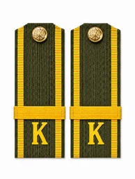 Погоны МО курсантские К галун 13,5х5см пластик цвет зеленый звание Ефрейтор укомплектованы пуговицей