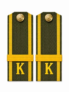 Погоны МО курсантские К галун 13,5х5см пластик цвет зеленый звание Ефрейтор укомплектованы пуговицей