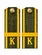 Погоны МО курсантские К галун 13,5х5см пластик цвет зеленый звание Ефрейтор укомплектованы пуговицей