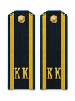 Погоны ФСБ, ФСО кадетские темно-синие КК 14 см картон в сборе с фурнитурой
