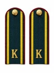 Погоны ФСИН курсантские К темно-зеленые 14 см картон в сборе с фурнитурой