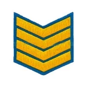 Курсовка пластизоль 4 курс (голубая)