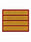 Нашивка курсовка 4 курс прямая пластизоль